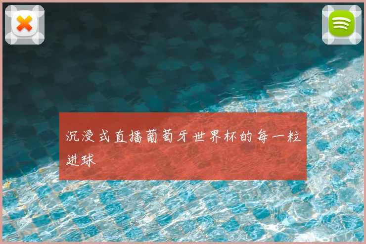 沉浸式直播葡萄牙世界杯的每一粒进球