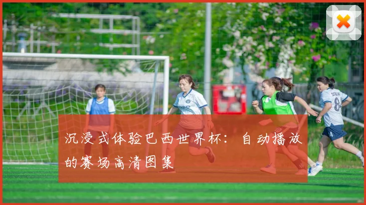沉浸式体验巴西世界杯：自动播放的赛场高清图集