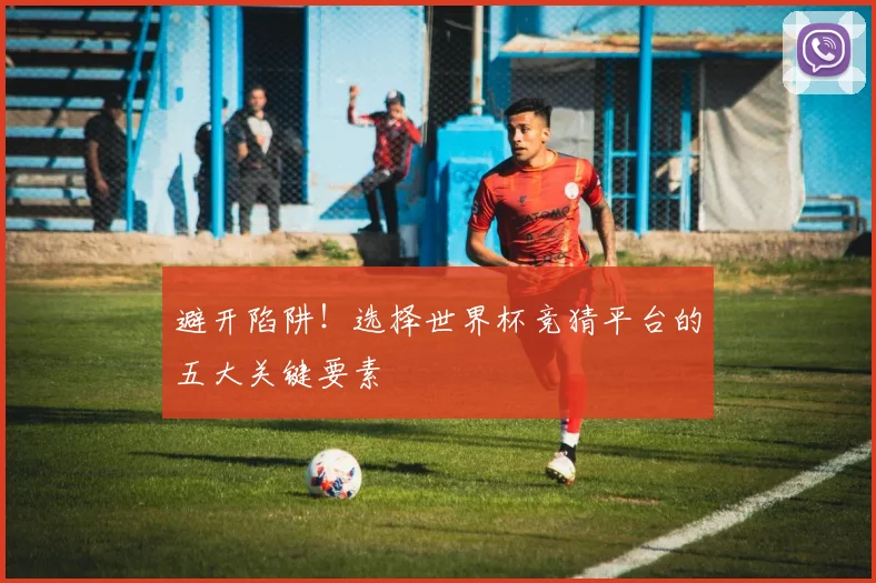 避开陷阱！选择世界杯竞猜平台的五大关键要素