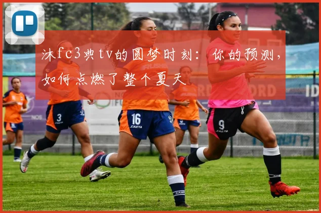 沐fc3典tv的圆梦时刻：你的预测，如何点燃了整个夏天