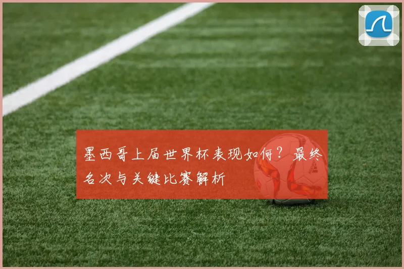 墨西哥上届世界杯表现如何?最终名次与关键比赛解析