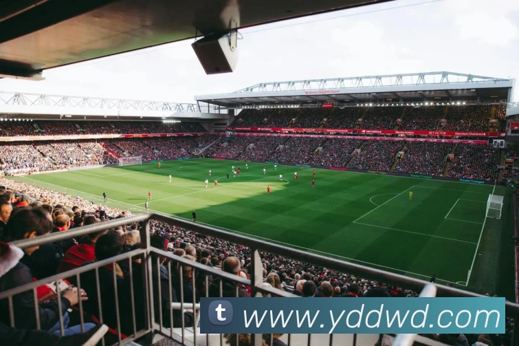 乐竞电竞官网首页平台生态图