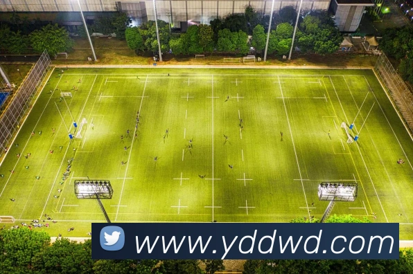 深度分析世界杯17日赛程：黑马潜力与豪门卫冕之路